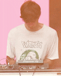 Lollapalooza Chicago GIF by Respective