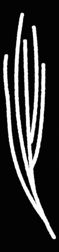 hbesocial 13 13 monjas 13monjas los13kde13monjas GIF