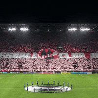 1 Fc Cologne Football GIF by 1. FC Köln