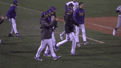 East Carolina Pirate GIF by ECU Athletics