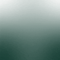 Msu Msubasketball GIF by Michigan State Athletics