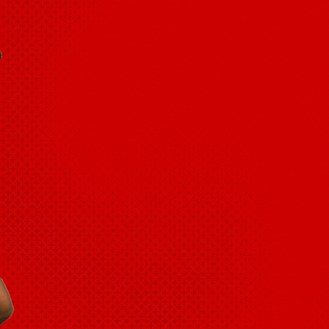 Bayer 04 Bundesliga GIF by Bayer 04 Leverkusen