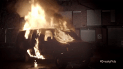 season 2 episode 6 GIF by Sneaky Pete