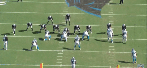theriotreport giphyupload GIF