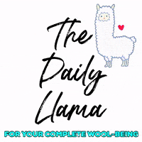 thesobercurator thesobercurator sobercurator dailyllama thedailyllama GIF