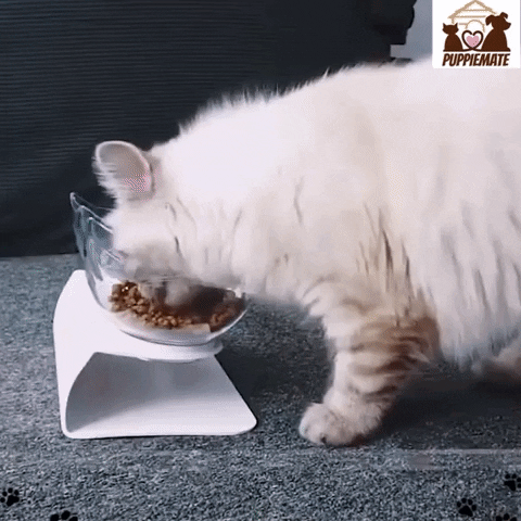 Puppiemate giphyupload GIF