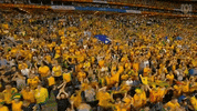 Asian Cup Fans GIF by Football Federation Australia