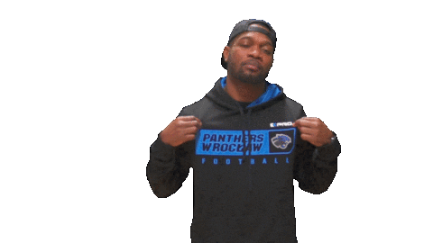 Panthers Wroclove Sticker by PanthersWroclaw