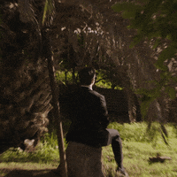 Chris Farren GIF by Polyvinyl Records