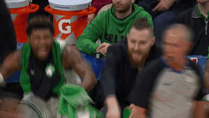 happy boston celtics GIF by NBA