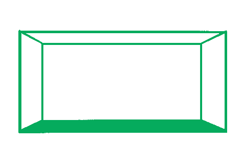 party friday Sticker by George FM