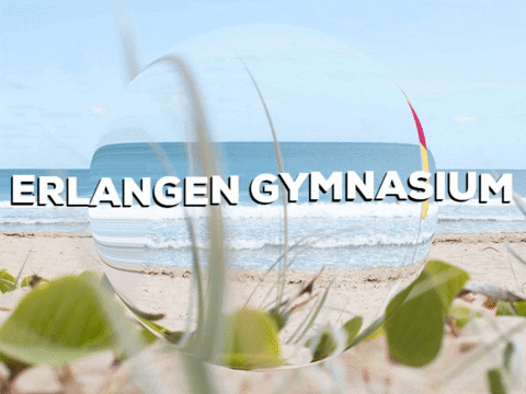 Laugh Smile GIF by PrivatschulenPORTAL.de
