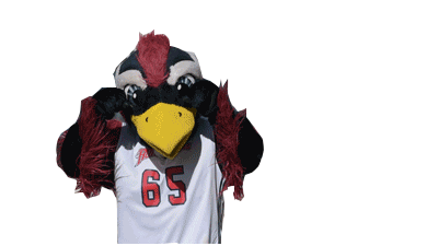 cry baby no Sticker by Rowdy the Roadrunner