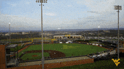college baseball GIF by WestVirginiaU