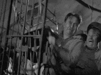 classic film tiger GIF by Warner Archive