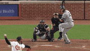 Jomboy  GIF