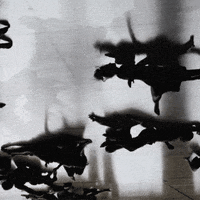 animation contact improvisation GIF by weinventyou