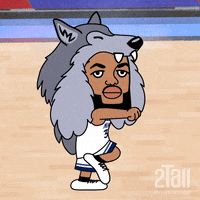 Nba Minnesota GIF