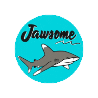 Awesome Shark Sticker by Fin Pin Shop