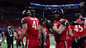 College Football GIF by Cincinnati Bearcats