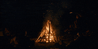 Camp Fire GIF by A24
