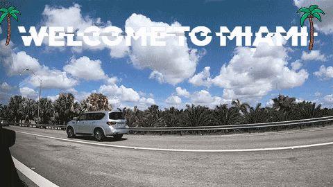 Rural_fisherman giphygifmaker giphyattribution GIF