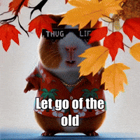 Autumn Tree GIF by Guinea Gambino