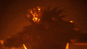 Season 4 Wwe GIF by DARK SIDE OF THE RING