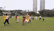 dragonball GIF by Digg