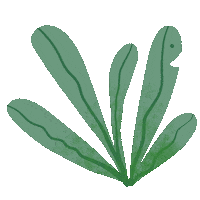 Flower Leaf Sticker by TOrZoNBorZ