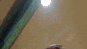 Steve Mcgarrett Hawaii GIF by CBS
