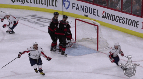 happy ice hockey GIF by NHL