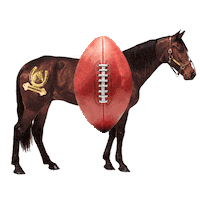 Lets Go Football Sticker by KesselsKramer