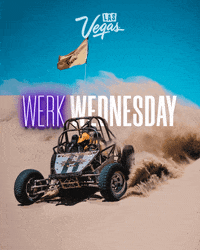 GIF by Las Vegas