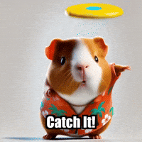 Catch It Guinea Pig GIF by Guinea Gambino