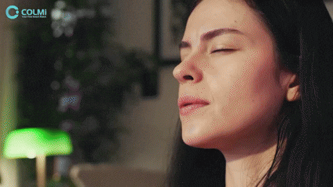 giphyupload GIF