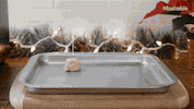 GIF by Mashable