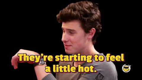 Shawn Mendes Hot Ones GIF by First We Feast