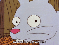season 6 bunny GIF