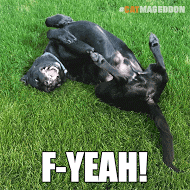 excited dog GIF by truth
