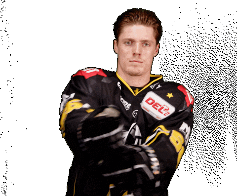 Del2 Seidenstadt Sticker by Krefeld Pinguine