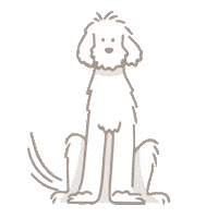 Dog Food Sticker by Ollie Pets