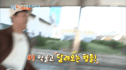 2 Days 1 Night GIF