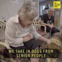 Dog Puppy GIF by 60 Second Docs