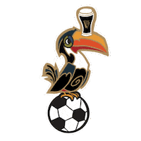 Football Soccer Sticker by GUINNESS SG
