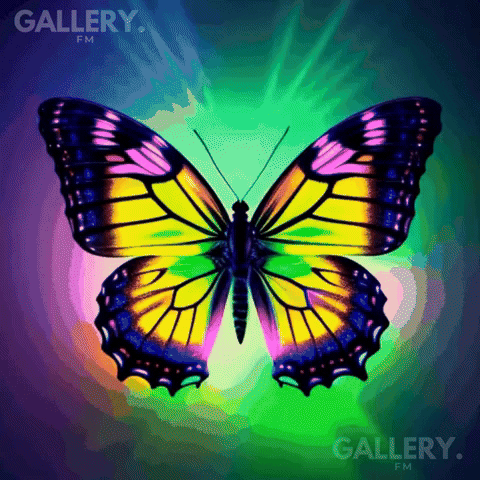 Dance Fun GIF by Gallery.fm