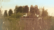 GIF by Sony Music Colombia