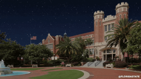 floridastateuniversity giphygifmaker fsusm GIF