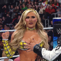 Wwe Barbie GIF