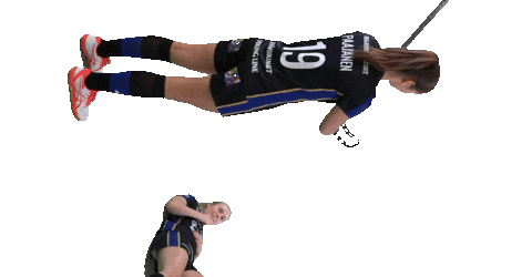 Floorball Salibandy Sticker by F-liiga